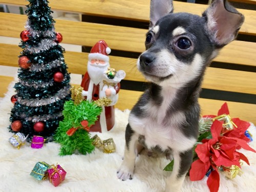 写真 2019-11-28 18 39 06