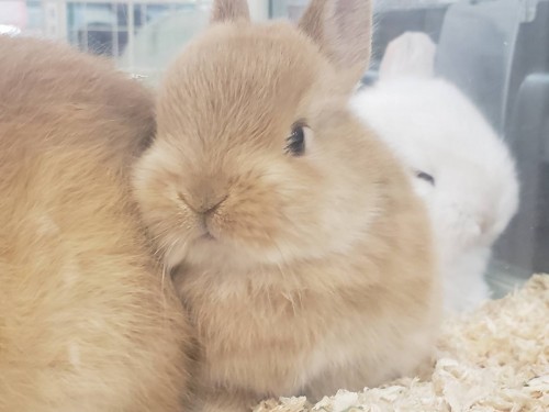 写真 2019-11-12 17 07 12