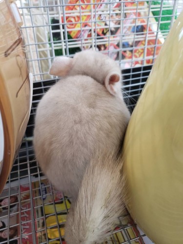 写真 2019-11-22 14 36 10