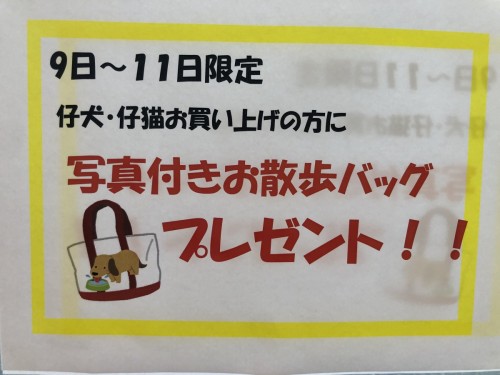 写真 2019-11-09 16 42 30