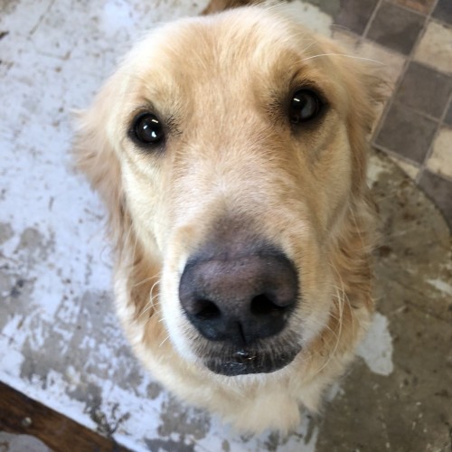 写真 2019-11-16 10 40 38