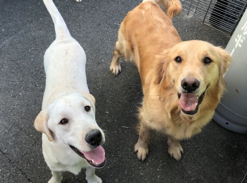 写真 2019-11-16 10 34 34