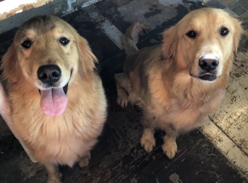 写真 2019-11-16 10 34 36