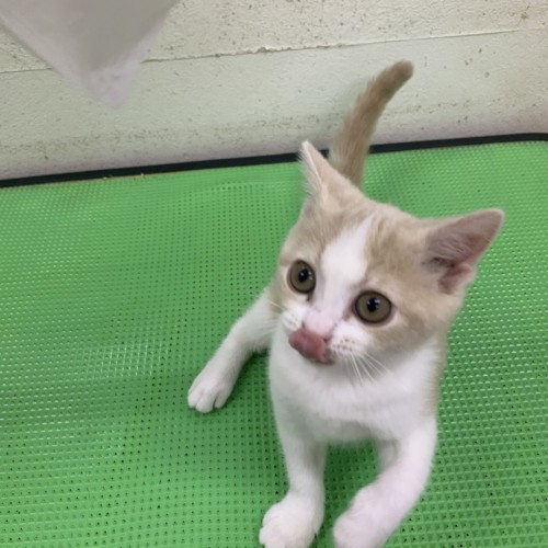 写真 2019-11-24 19 19 04