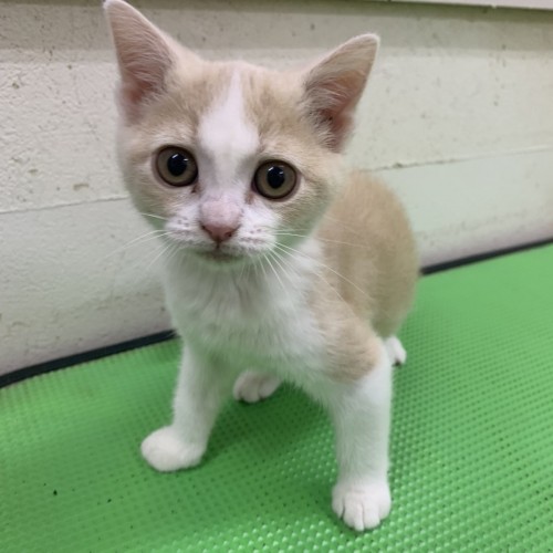 写真 2019-11-24 19 19 01