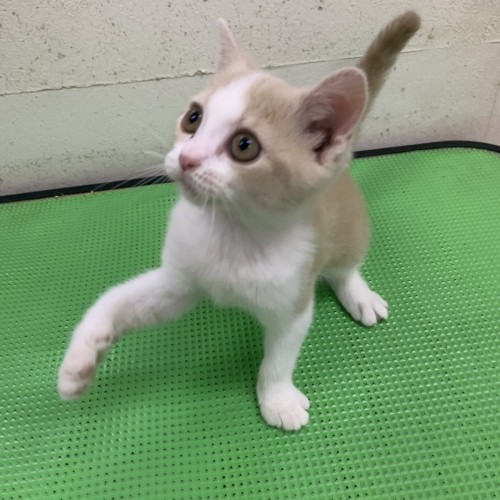 写真 2019-11-24 19 19 07