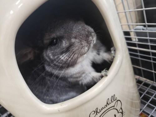 写真 2019-11-22 14 36 02