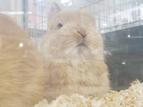 写真 2019-11-12 17 07 17