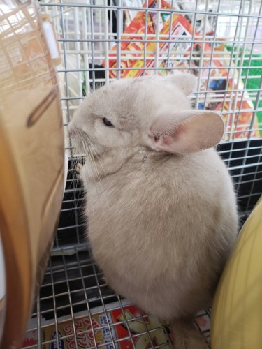 写真 2019-11-22 14 36 14