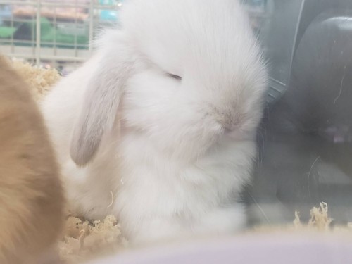 写真 2019-11-12 17 07 19