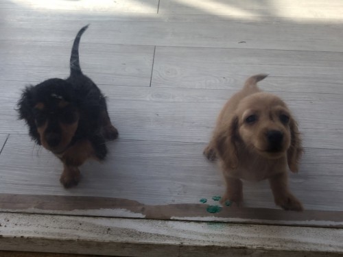 写真 2019-11-26 11 45 45