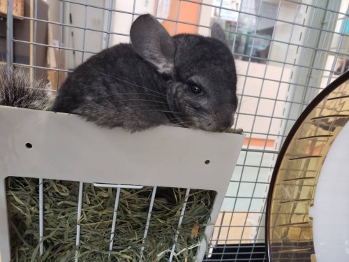 写真 2019-11-22 14 36 31