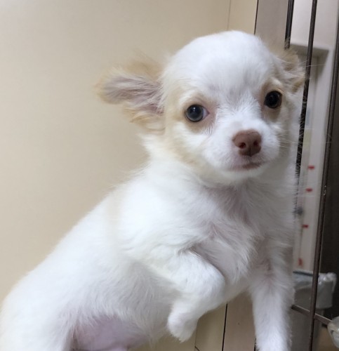 写真 2019-11-28 10 43 44