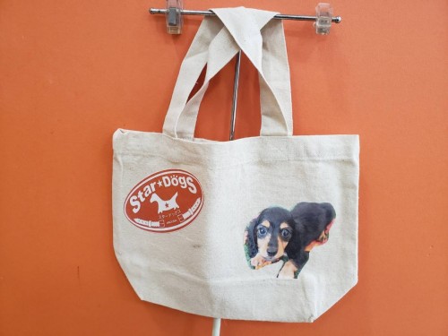 写真 2019-11-06 12 14 03