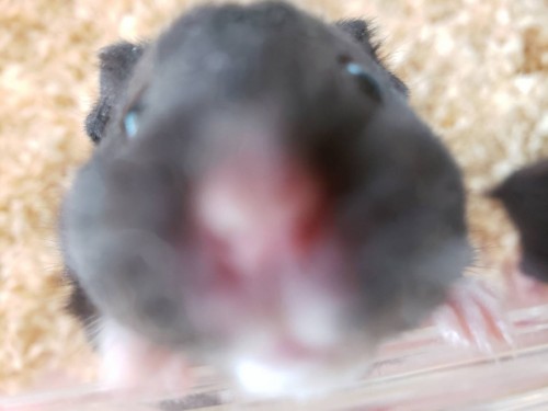 写真 2019-12-15 14 19 29