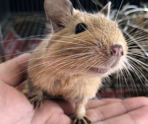 写真 2019-12-24 14 14 26