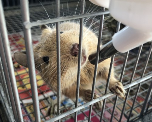 写真 2019-12-24 14 08 58 (1)