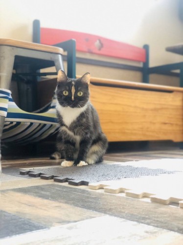 写真 2019-12-28 17 45 38 - コピー