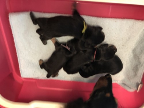 写真 2019-12-13 11 29 39