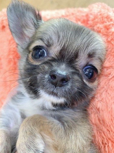 写真 2019-12-16 10 40 39