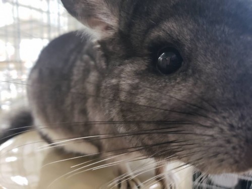 写真 2019-12-05 14 26 57