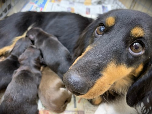 写真 2019-12-13 18 34 38