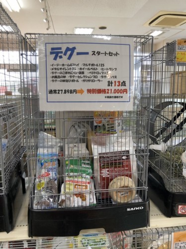 写真 2019-12-26 14 15 39