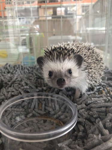 写真 2019-12-25 13 26 58