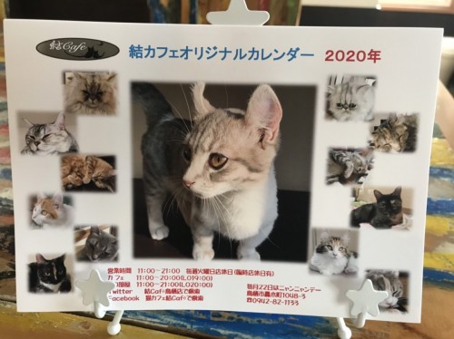 写真 2019-12-08 14 07 33