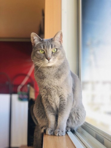 写真 2019-12-28 17 45 36 (1)