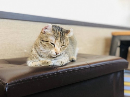 写真 2019-12-28 17 45 40 - コピー