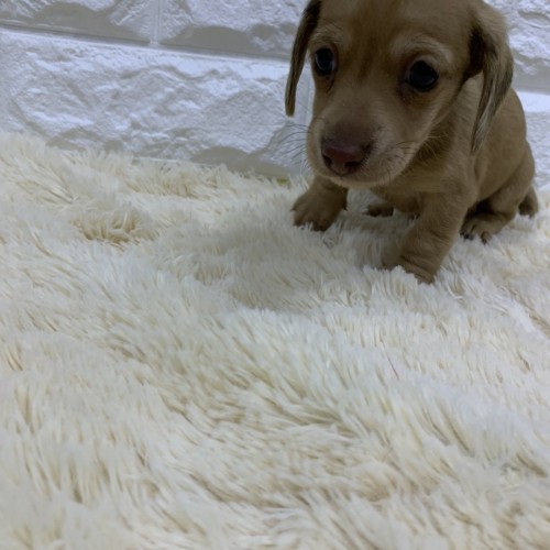 写真 2019-12-01 19 13 34