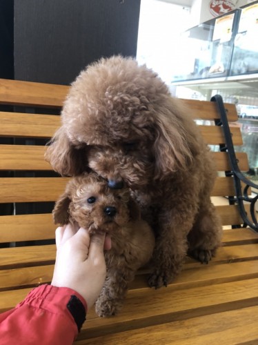 写真 2019-12-29 16 09 23