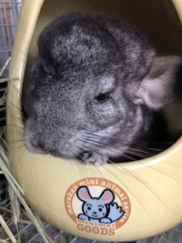 写真 2019-12-26 14 15 43