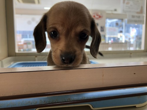 写真 2019-12-09 11 39 10