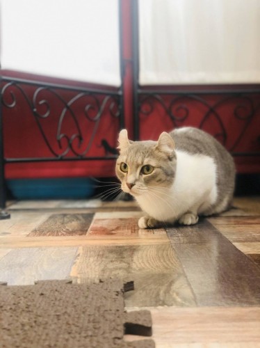 写真 2019-12-28 17 45 34 - コピー