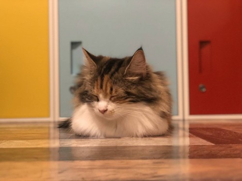 写真 2019-12-28 17 45 30 - コピー