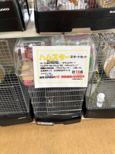 写真 2019-12-26 14 15 41