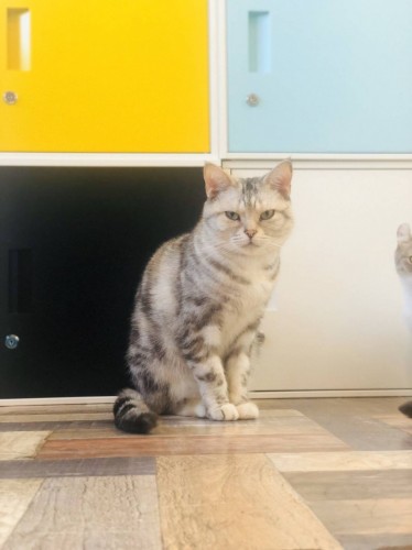 写真 2019-12-28 17 45 22 - コピー