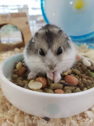 写真 2019-12-11 17 03 51