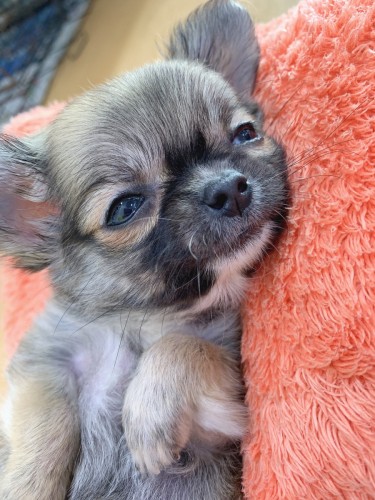 写真 2019-12-16 10 38 53