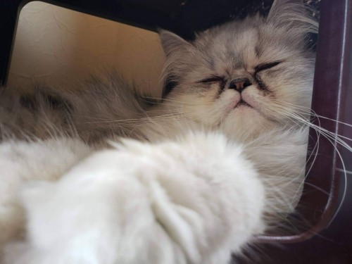 写真 2019-12-28 17 45 47 - コピー