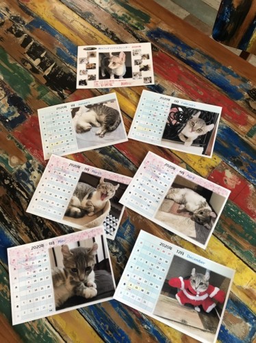 写真 2019-12-08 14 07 35