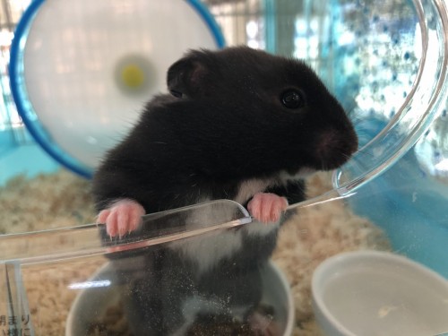 写真 2019-12-15 14 28 40