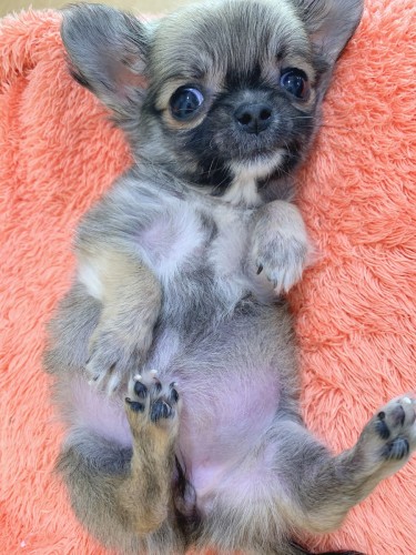 写真 2019-12-16 10 38 18