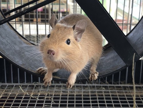 写真 2019-12-24 14 13 53