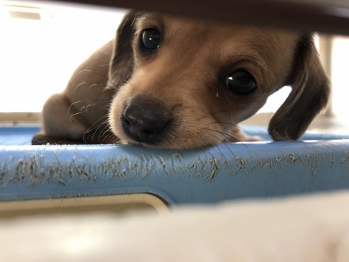 写真 2019-12-09 11 41 15