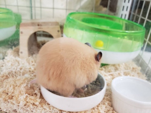 写真 2019-12-11 17 03 46