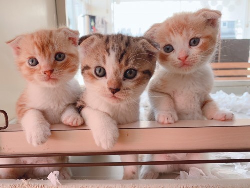 写真 2019-12-07 14 54 45