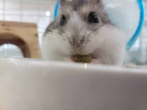 写真 2019-12-11 17 03 48